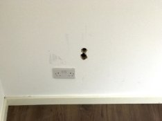 IMG_5324.jpg