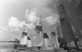 22 01 19 fp4486 (2).jpg