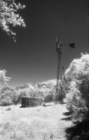 Windmill January-February MSA.jpg