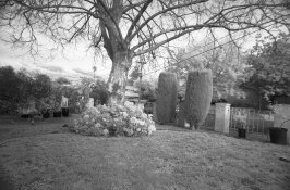 img063s.jpg