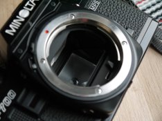 P1020763_1024px.jpg