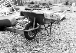 P4060001+s.jpg