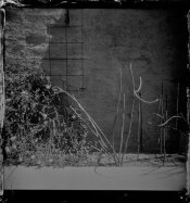 tiny wpc.1.jpg