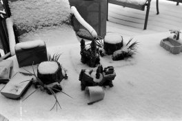fp4+ @ 400.jpg