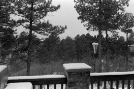 fp4+ @ 100 landscape.jpg