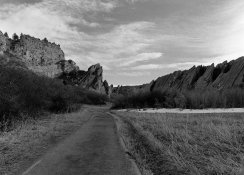 645 tri-x@800 exg1 45ml carb 11m.jpg