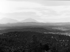 645 ortho plus 60ml carb 11m.jpg