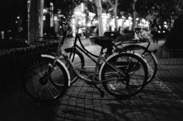 35mm hp5+@3200 60ml carb 24m.jpg