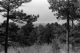 2-fp4+@50.jpg