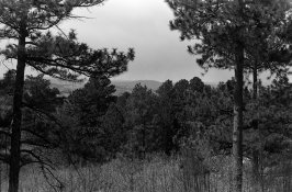 2-fp4+@125.jpg