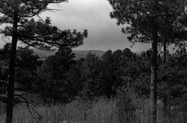 2-fp4+@400.jpg