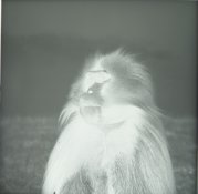 test-1-2.jpg
