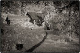 retina191887.infrared2a.jpg