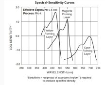 spectral sensitivity curves for Kodak Endura paper.JPG