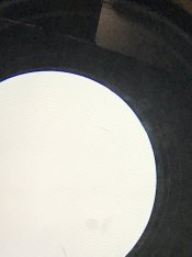 IMG_2033.jpeg