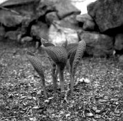 img060.jpg