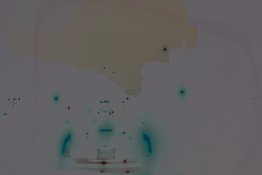 tether8798-2.jpg