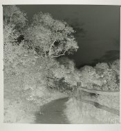 20F04-02-negative.jpg