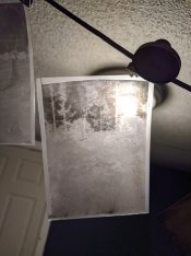 IMG_20200525_171739.jpg