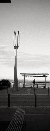 02 06 19 fp4368 (2).jpg