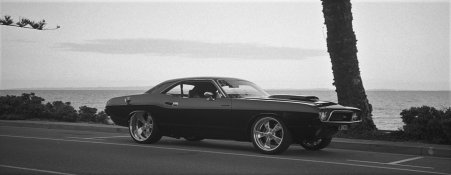 02 06 19 fp4358 (2).jpg