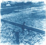 cyan3.jpg