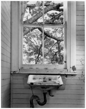 10 04 18 linhof 4x5 fp4 in pyrocat 1+1+100 fotospeed rcvc484 b.jpg