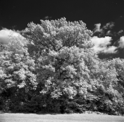 Infrared@EI25-2.png