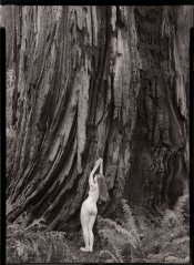 RedwoodNude5x7Carbon.jpg