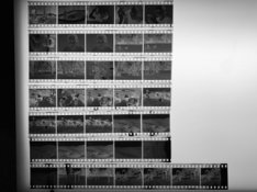 7D1C3629-5AC4-4CD2-BAC8-EC61598735D4.jpeg