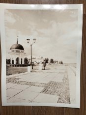IMG_3156.jpeg