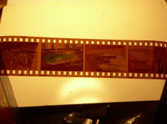 Fuji negs 14 June 2020.JPG
