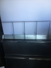 SLO June 2020 346.JPG