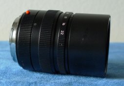 Elm_90_8.jpg