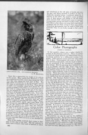 AmPhot 34 - 362.jpg