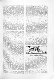 AmPhot 34 - 449.jpg