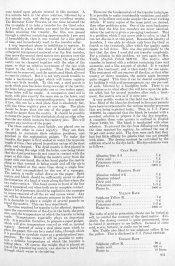 AmPhot 34 - 611.jpg