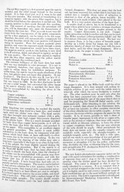 AmPhot 34 - 613.jpg