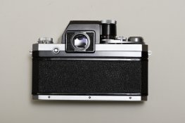 webLL3M6738.JPG
