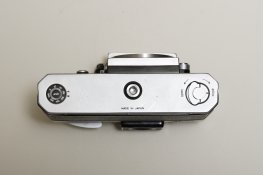 webLL3M6741.JPG