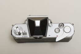 webLL3M6753.JPG