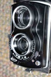 SeagiullFrtClose_DSC2639.jpg