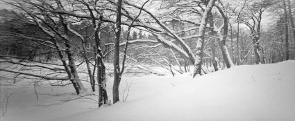 Pinhole_-4.jpg