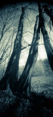 Pinhole_-5.jpg