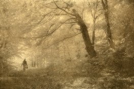 Bichromate.jpg