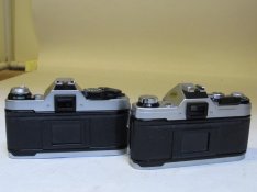 IMG_0101.JPG