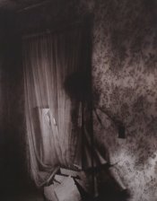 just a shadow on the walll.jpg