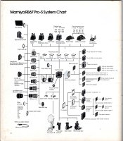 pro-s-system-chart.jpg