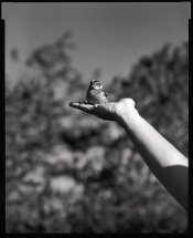 BirdInHand.jpg