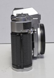 _7300003 crop web.jpg